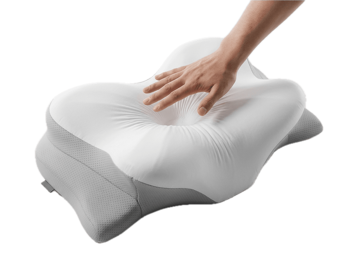 Holds Its Shape for Years